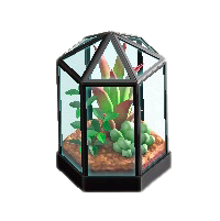 テラリウムのブラックの画像