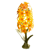 ヒヤシンスのランプのイエローの画像