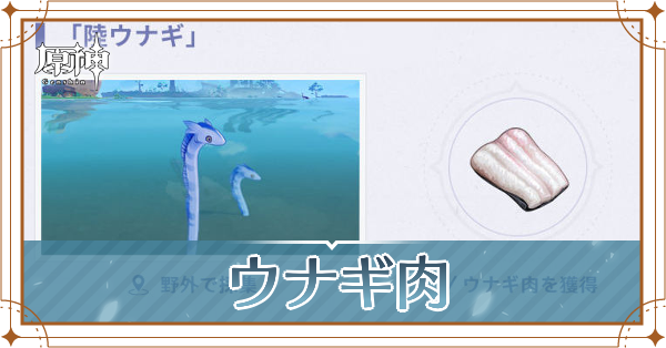 ウナギ肉の入手場所と使い道