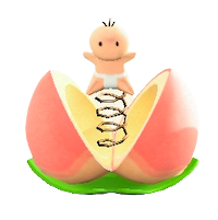 モモのビックリばこの白桃の画像