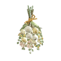 スワッグのホワイトの画像