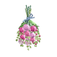 スワッグのピンクの画像