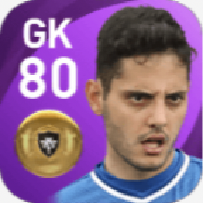 FPマテウス・ヴィドット(8/26)の画像