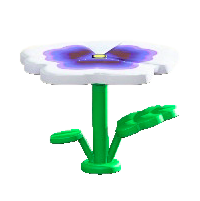 パンジーのテーブルのホワイトの画像