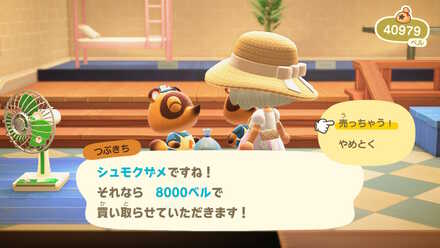 虫や魚を売却する