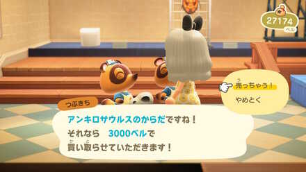 鑑定済みの化石を売却する