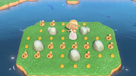 離島ツアーへ行く