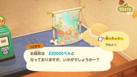 家具や服を購入する