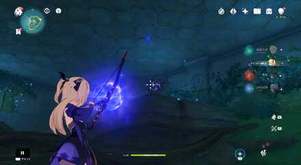 詳細な入手場所