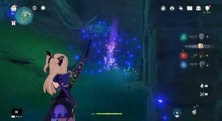 詳細な入手場所