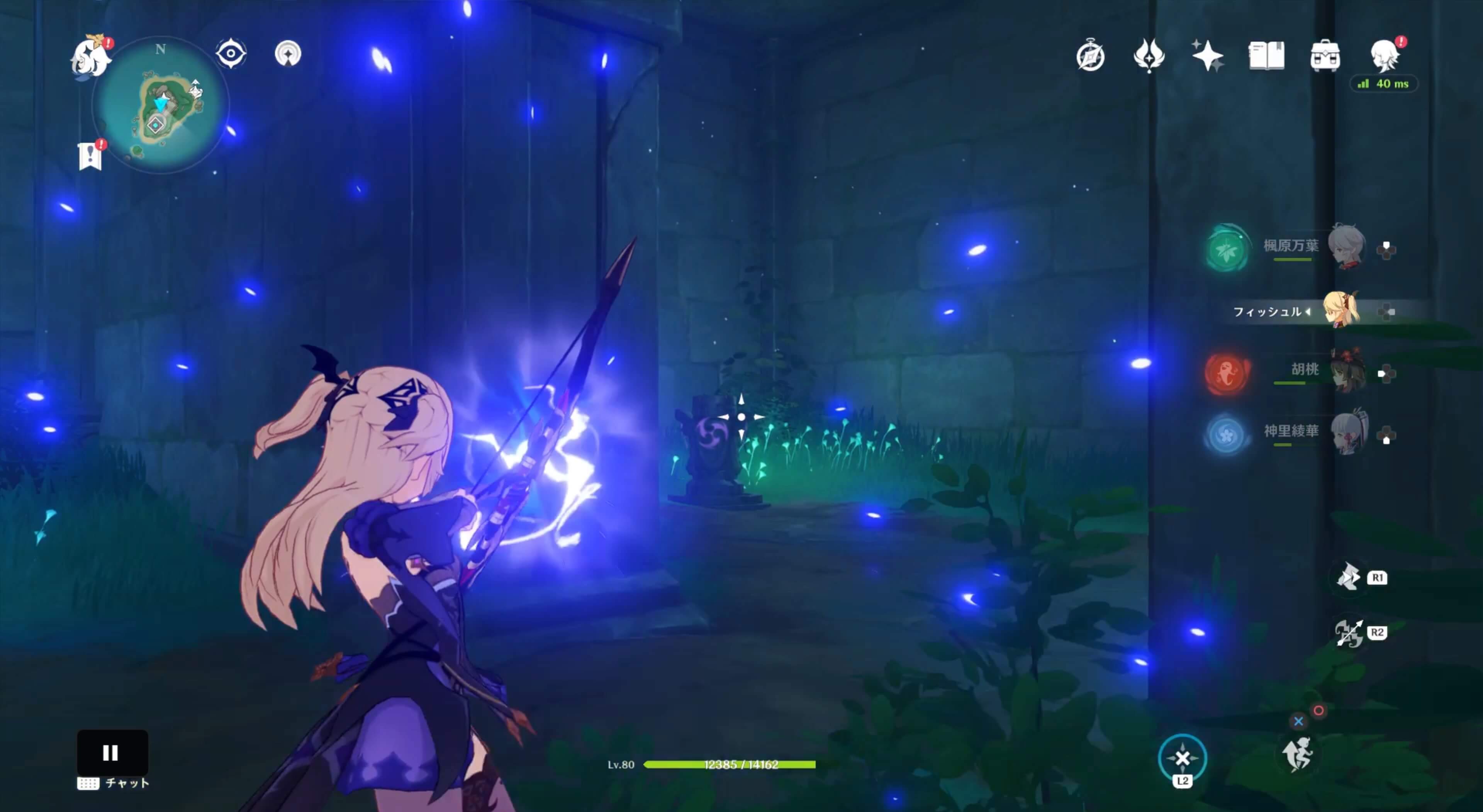 詳細な入手場所