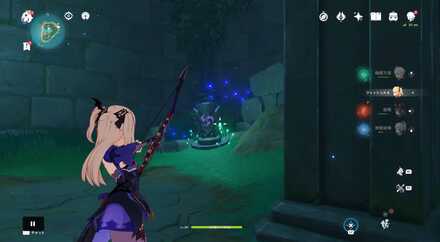 詳細な入手場所