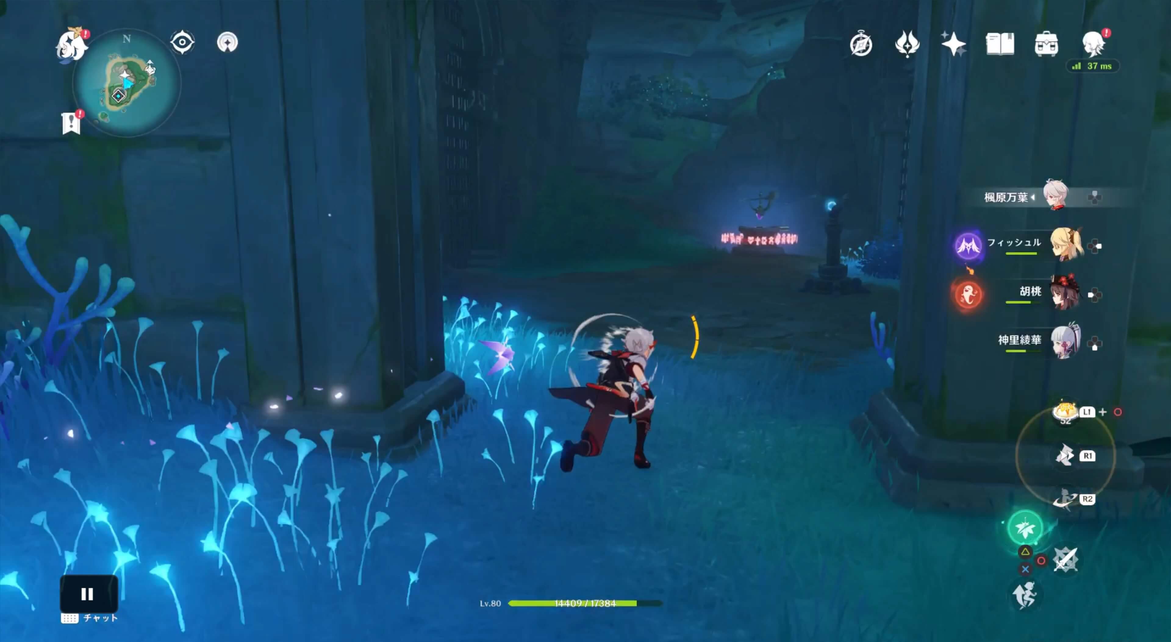 詳細な入手場所⑬