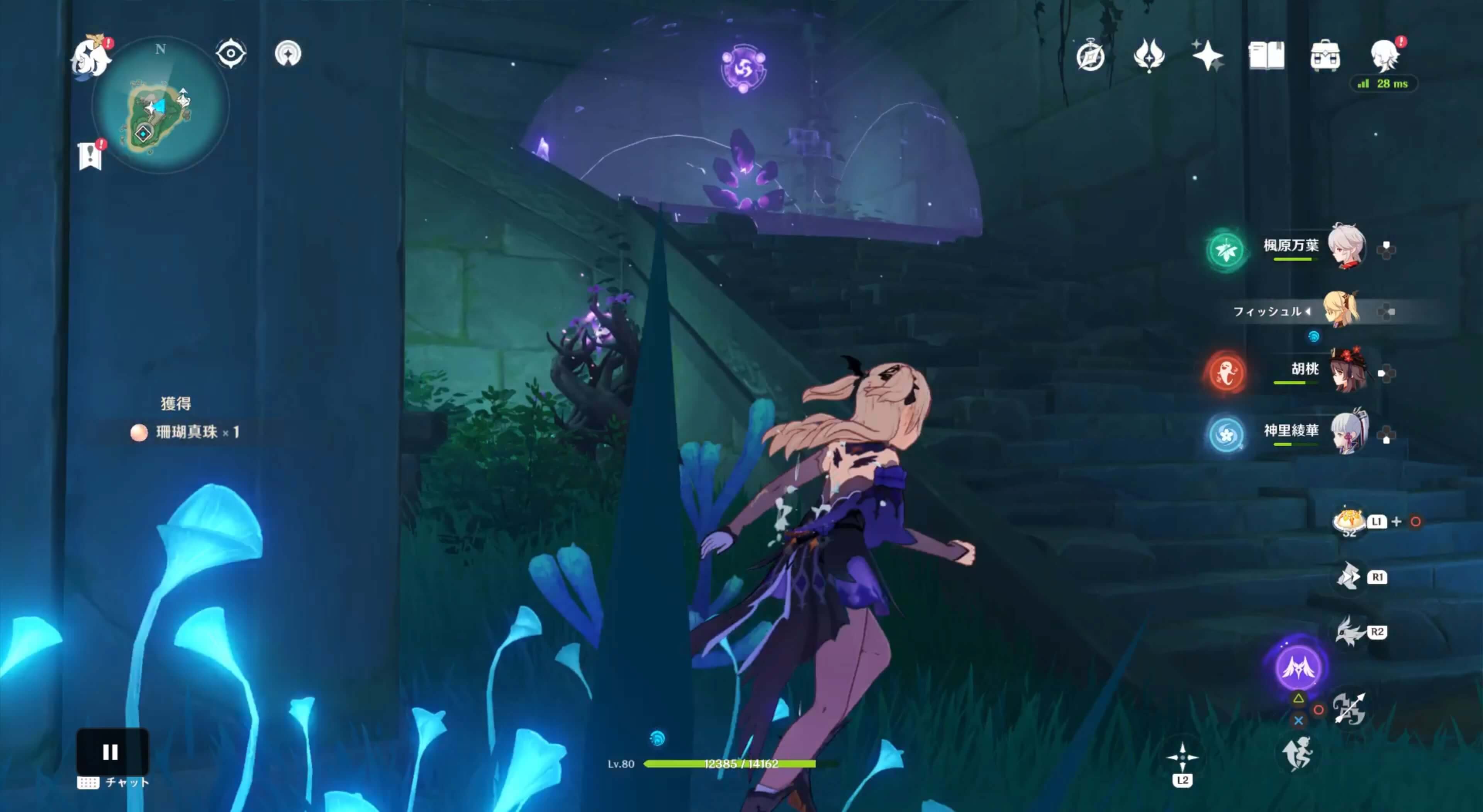 詳細な入手場所