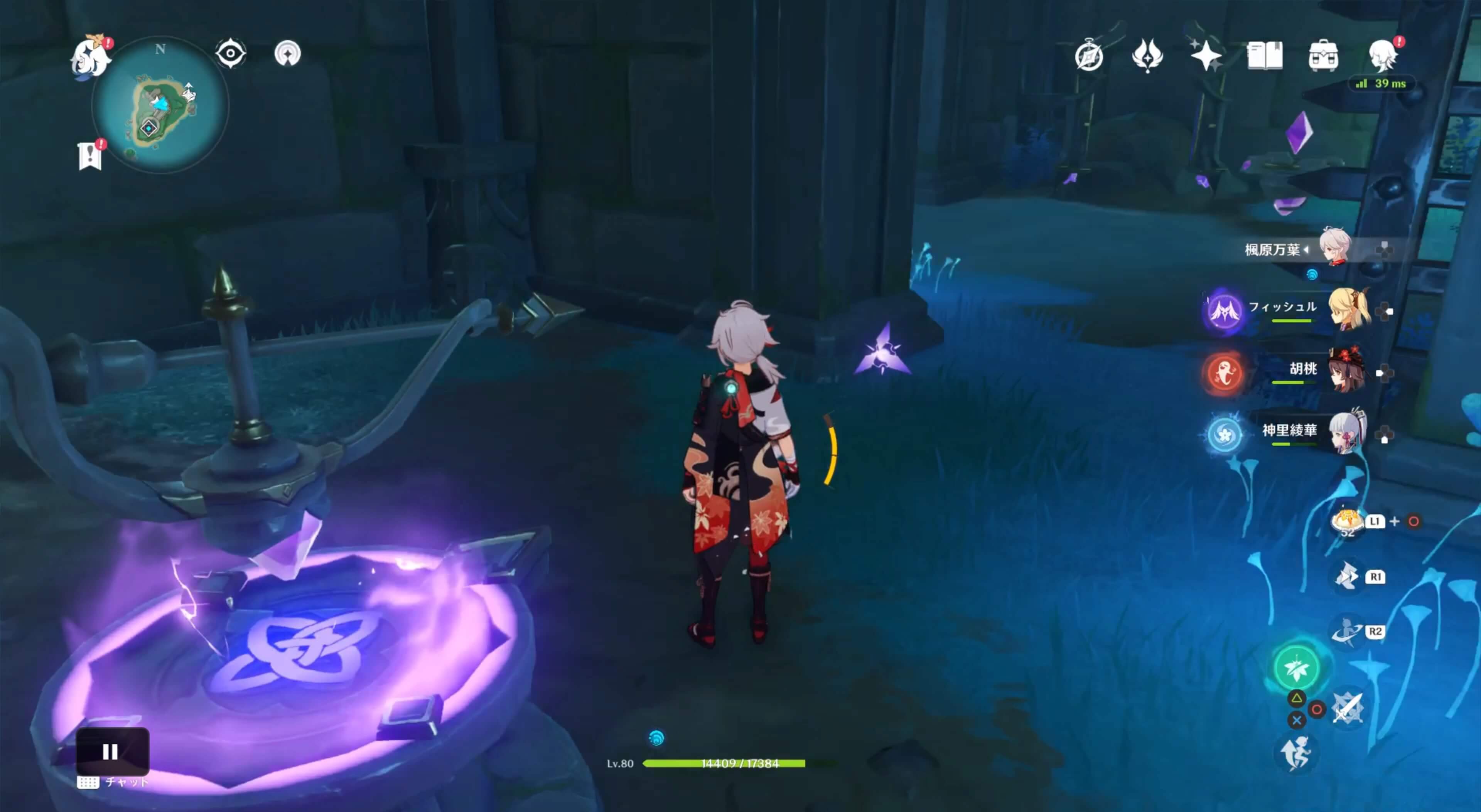 詳細な入手場所⑲