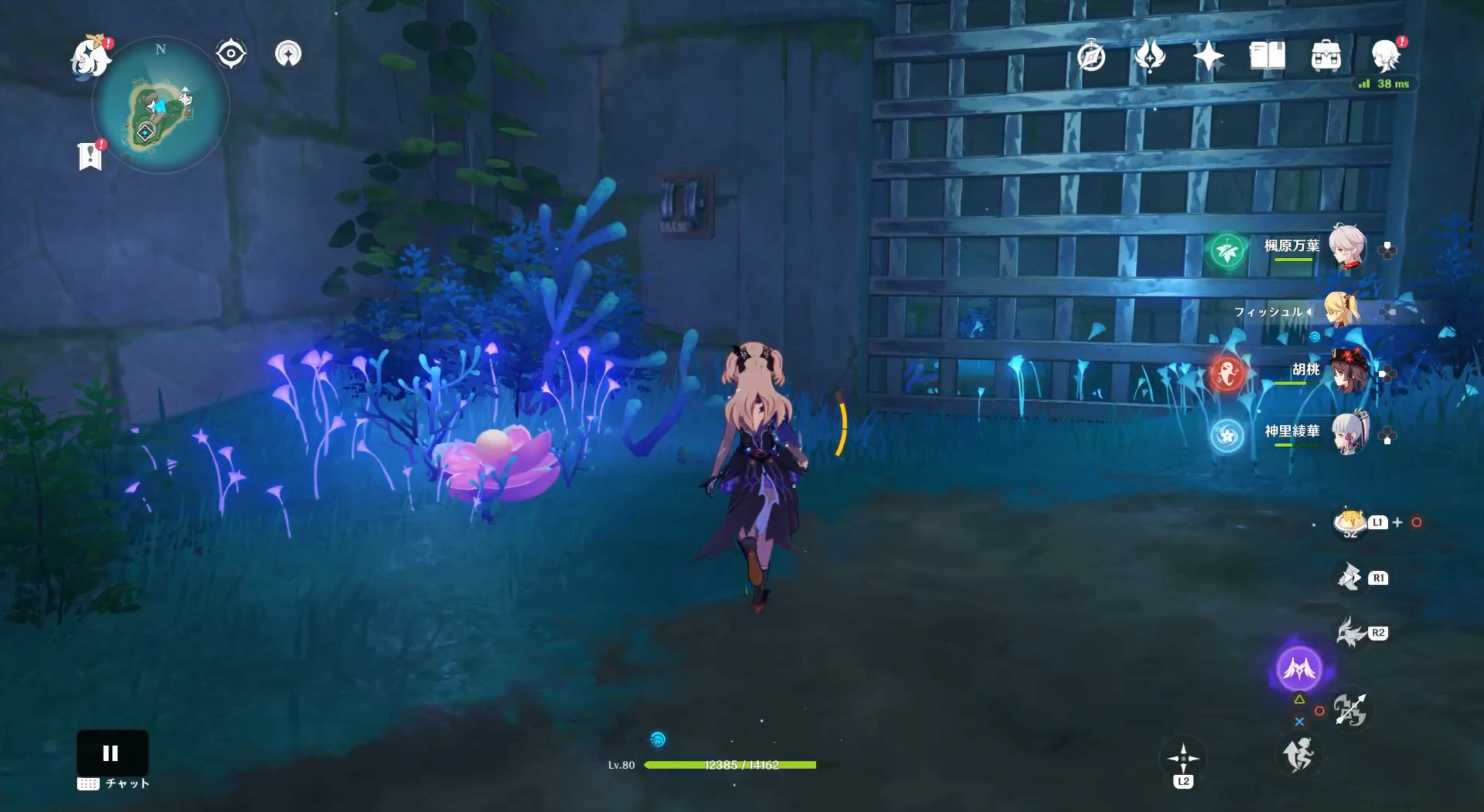 詳細な入手場所