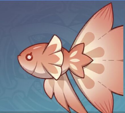 グッピーの画像