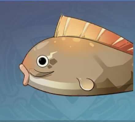 鉄砲フグの画像