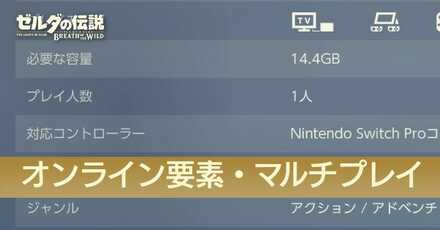 オンライン要素・マルチプレイフレームなし