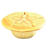 かいがらのテーブルのイエローの画像