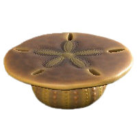 かいがらのテーブルのブラウンの画像