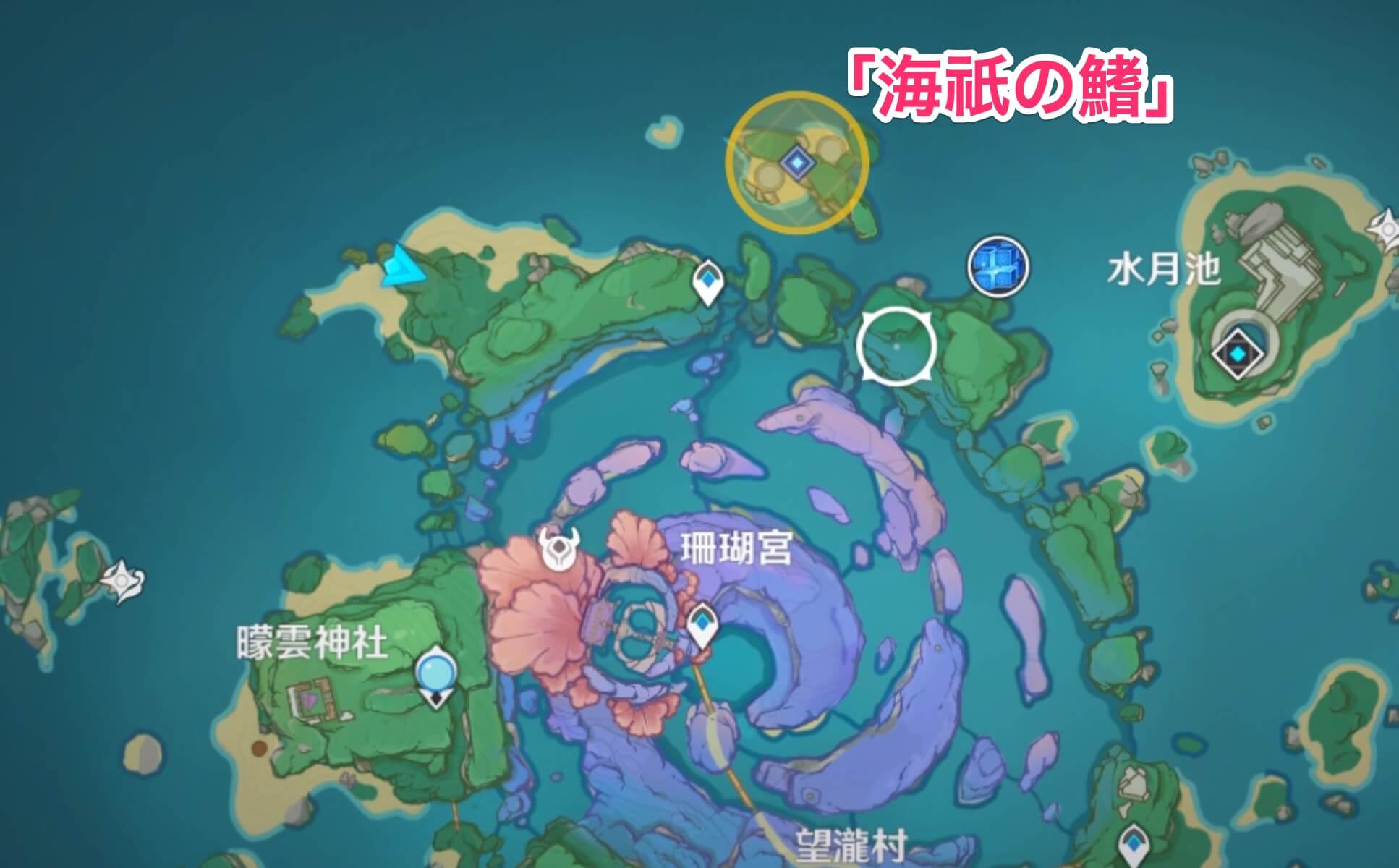 「鰭」の在り処に行く