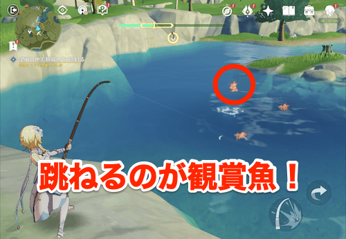 魚群大発生の攻略チャート