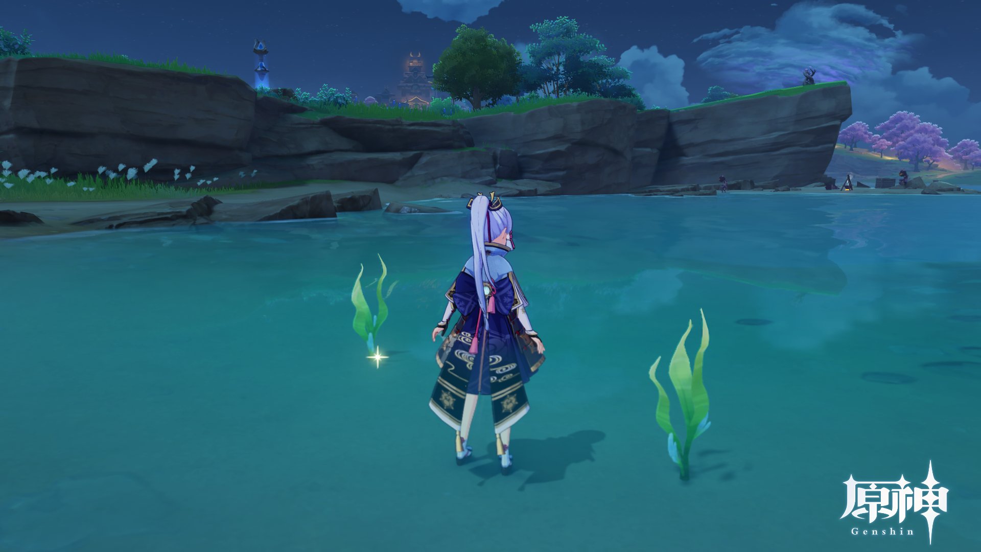 海草
