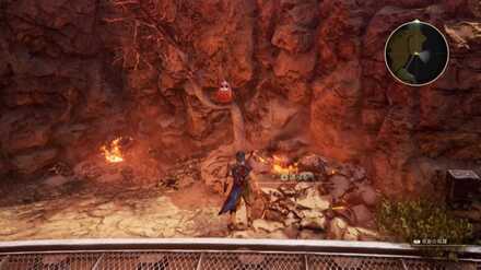 サンディネス渓谷のふくろう画像