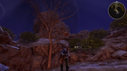 イグーリア荒地のふくろう画像