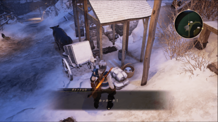 メザイ224のフクロウ