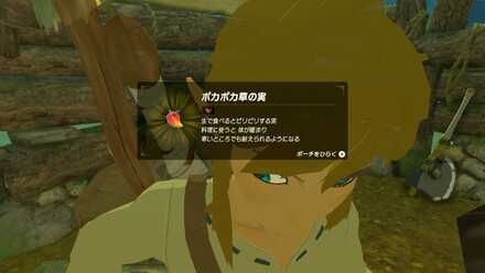 ポカポカ草の実入手