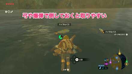 ハイラルバス入手方法