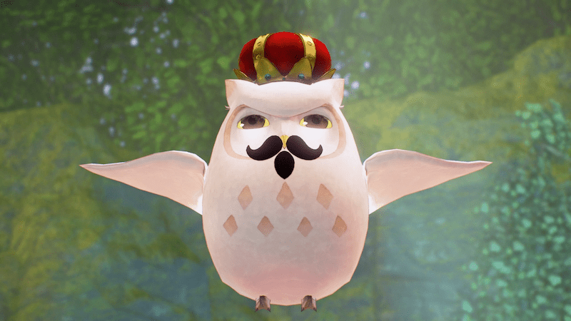 フクロウを見つけてると報酬がもらえる