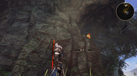 風望の丘のフクロウ