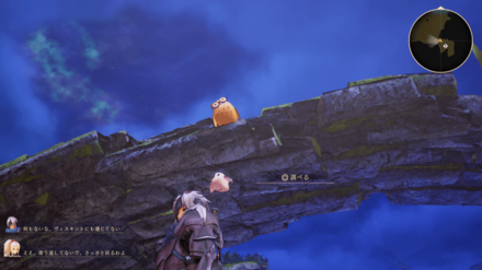 ティータル平原のふくろう画像