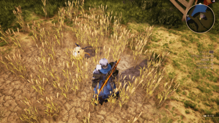 トラスリーダ街道のふくろう画像