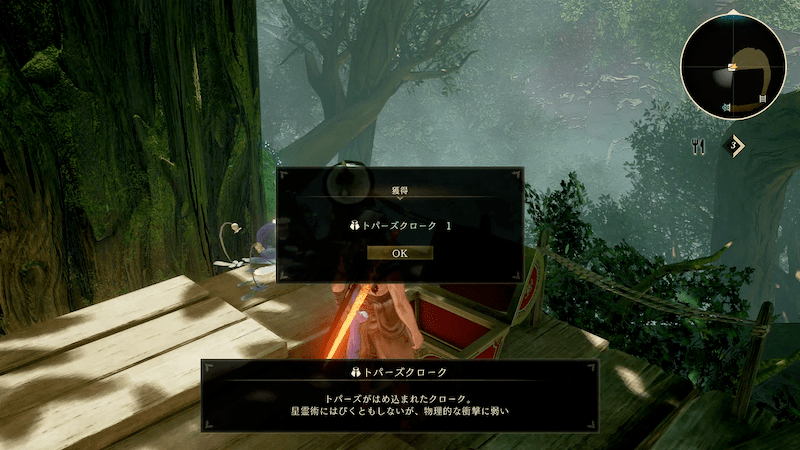 ジラーヌ樹海で防具を入手