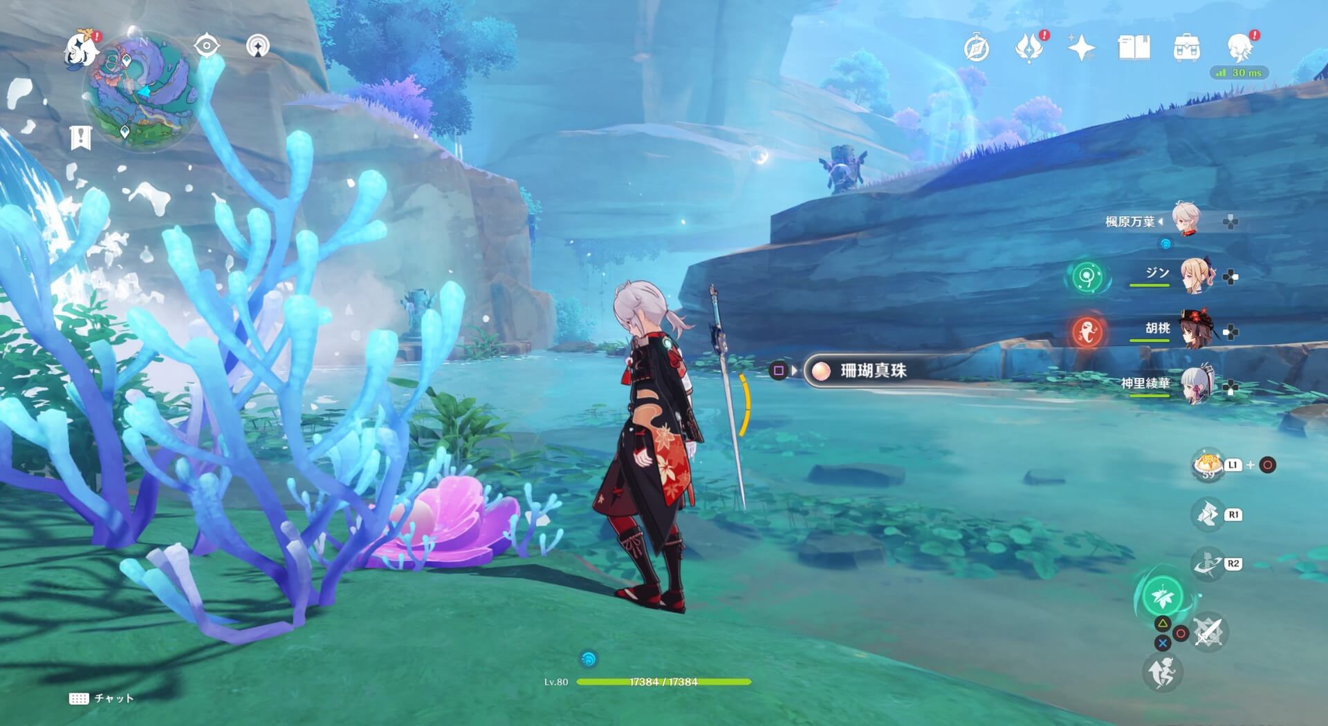 珊瑚真珠詳細14