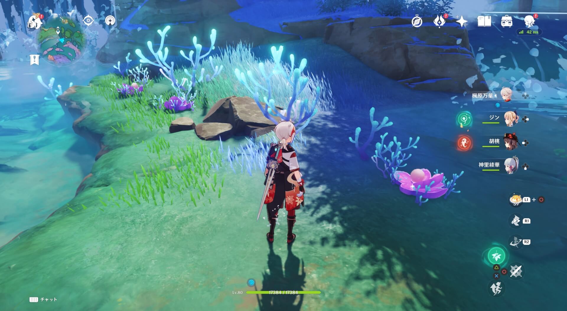 珊瑚真珠詳細22