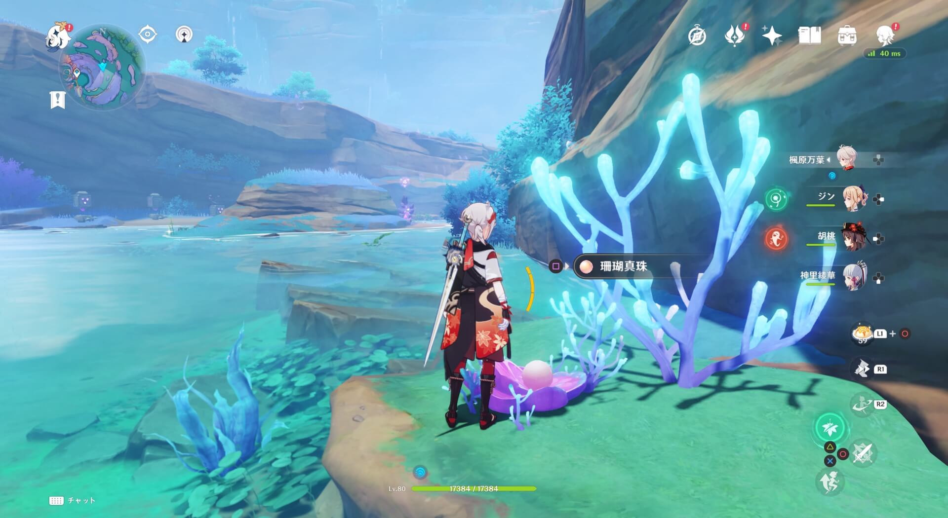 珊瑚真珠詳細16