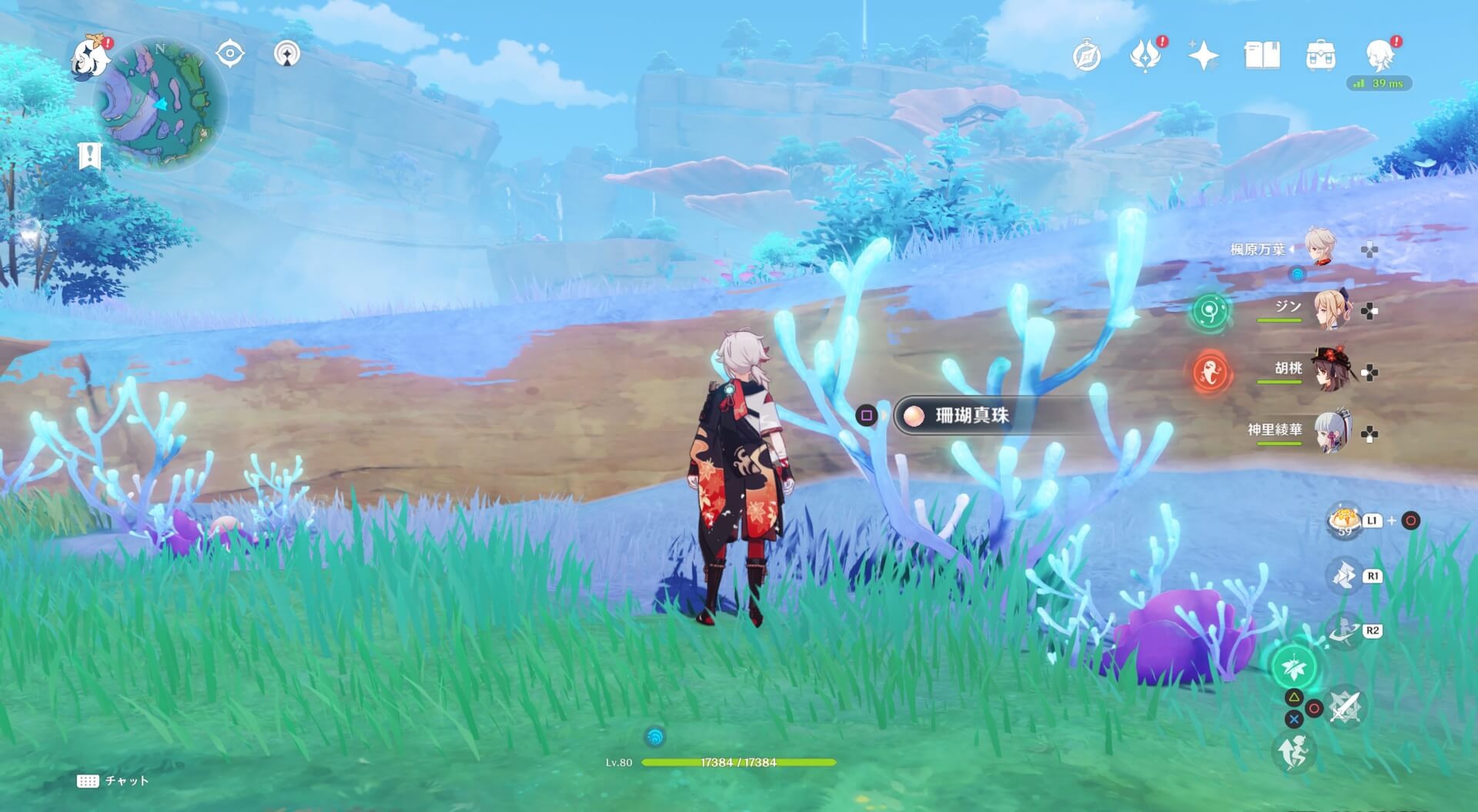 珊瑚真珠詳細11