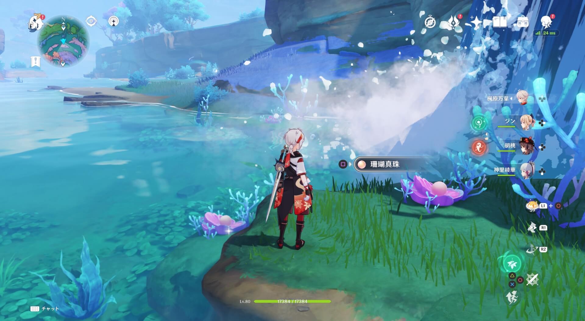 珊瑚真珠詳細21