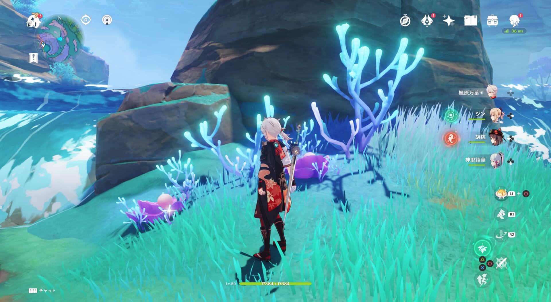 珊瑚真珠詳細17