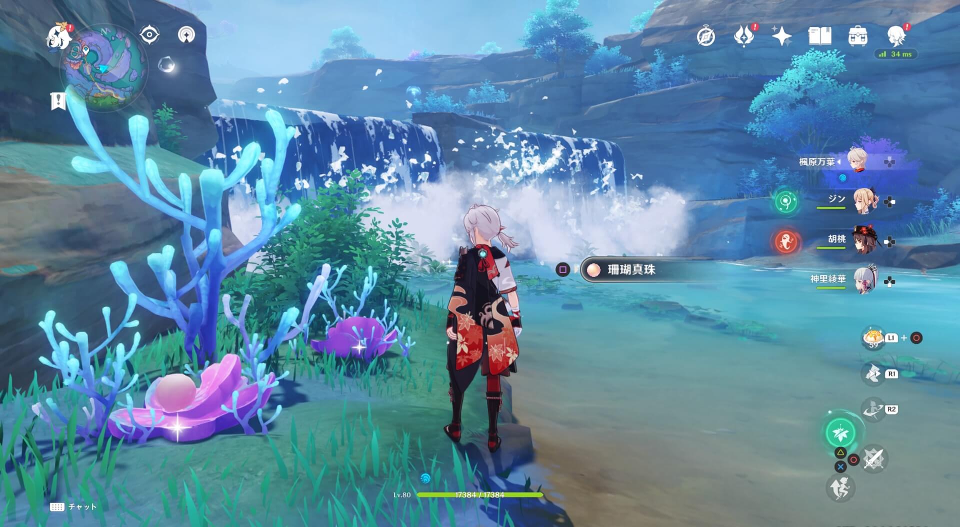 珊瑚真珠詳細12