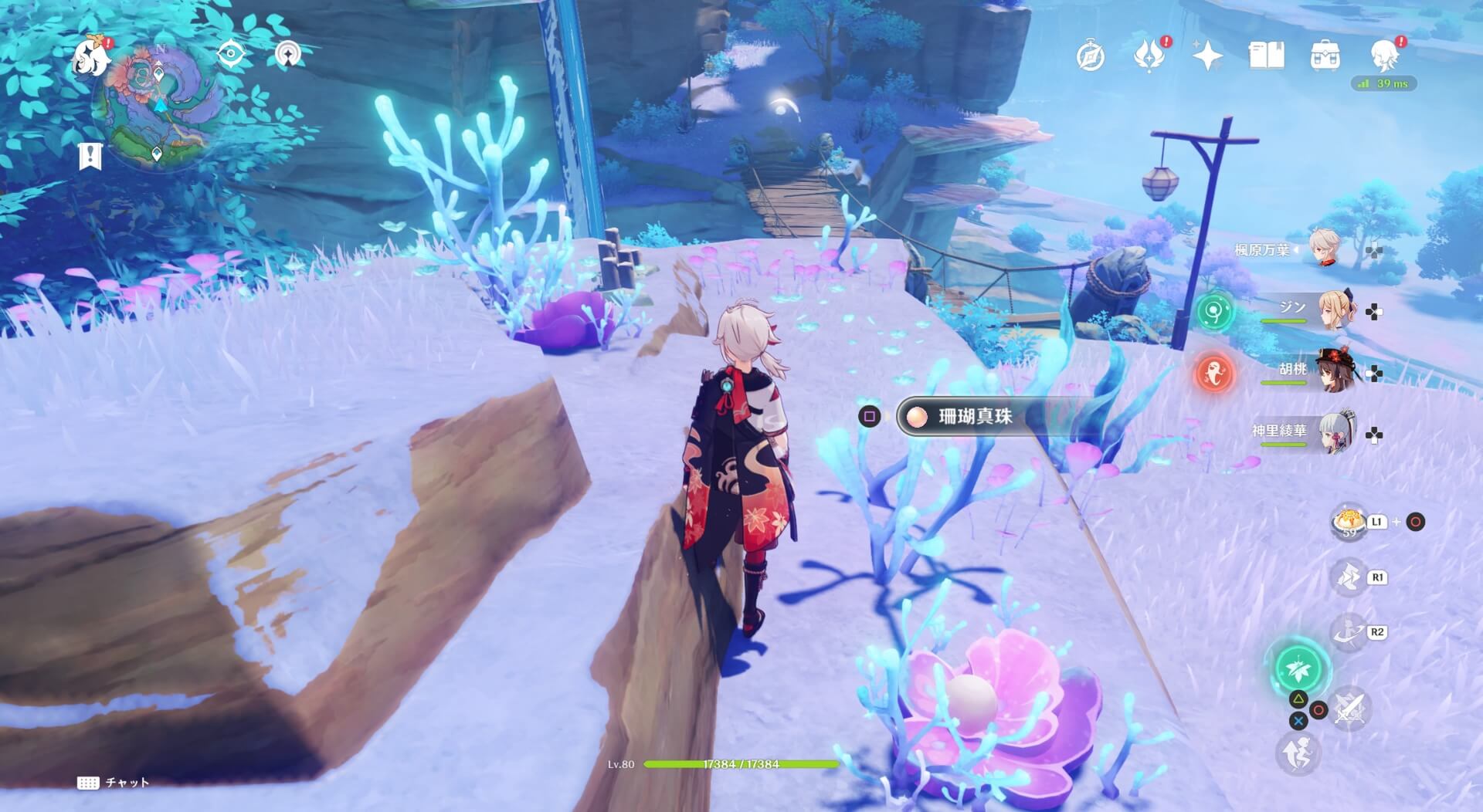 珊瑚真珠詳細15