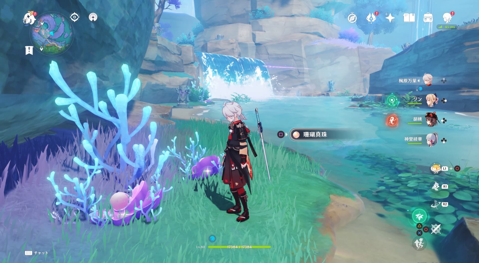 珊瑚真珠詳細13