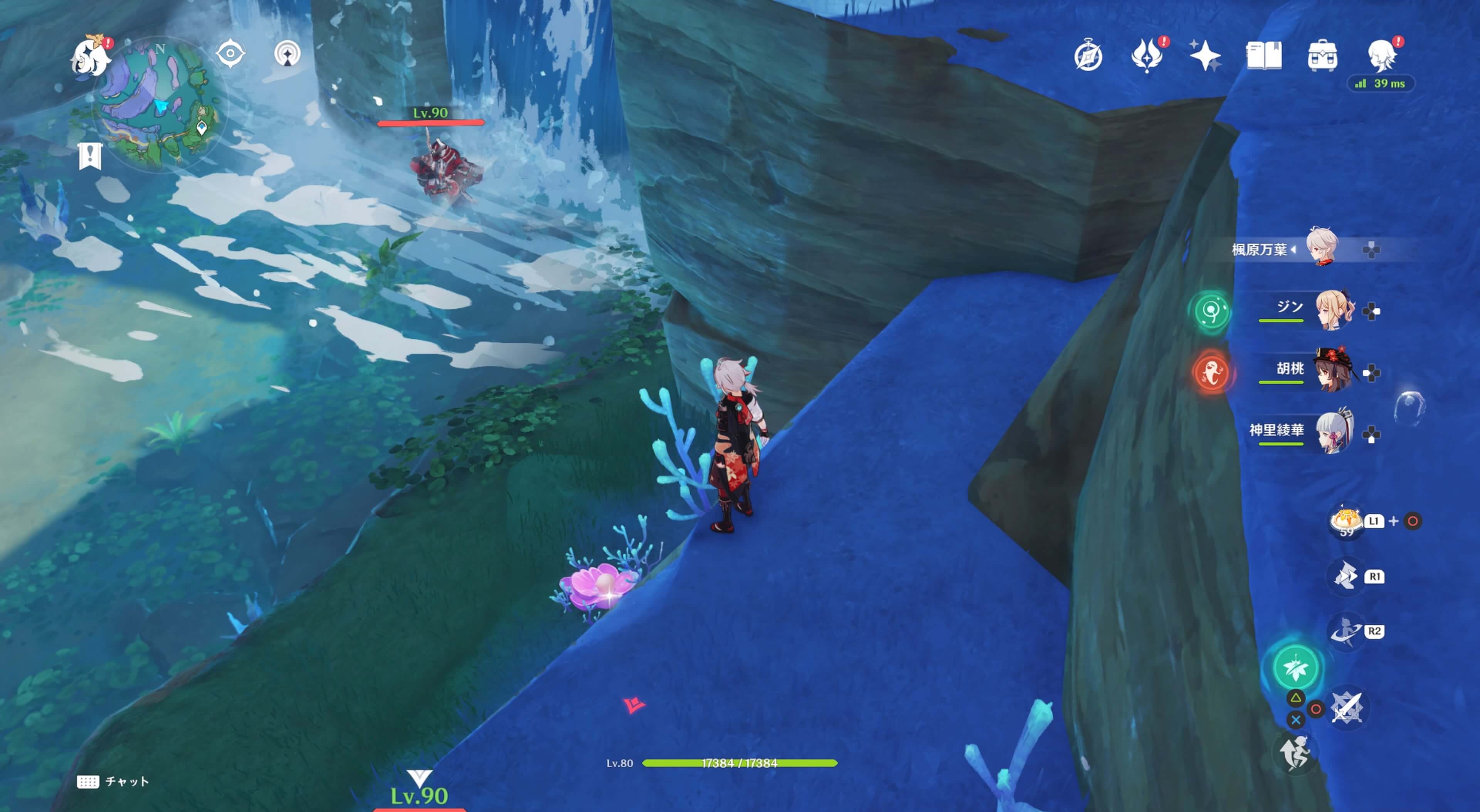 珊瑚真珠詳細10