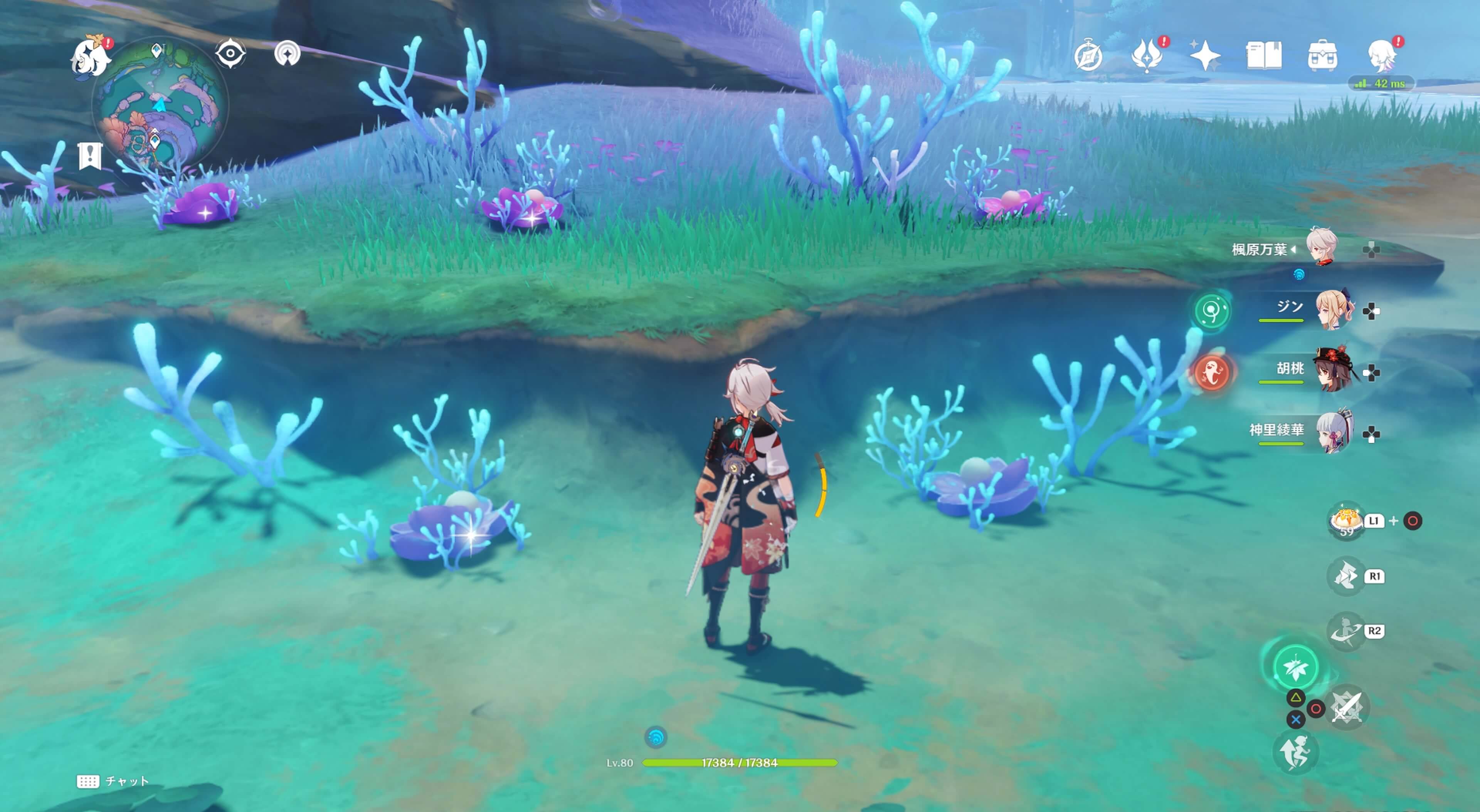 珊瑚真珠詳細19