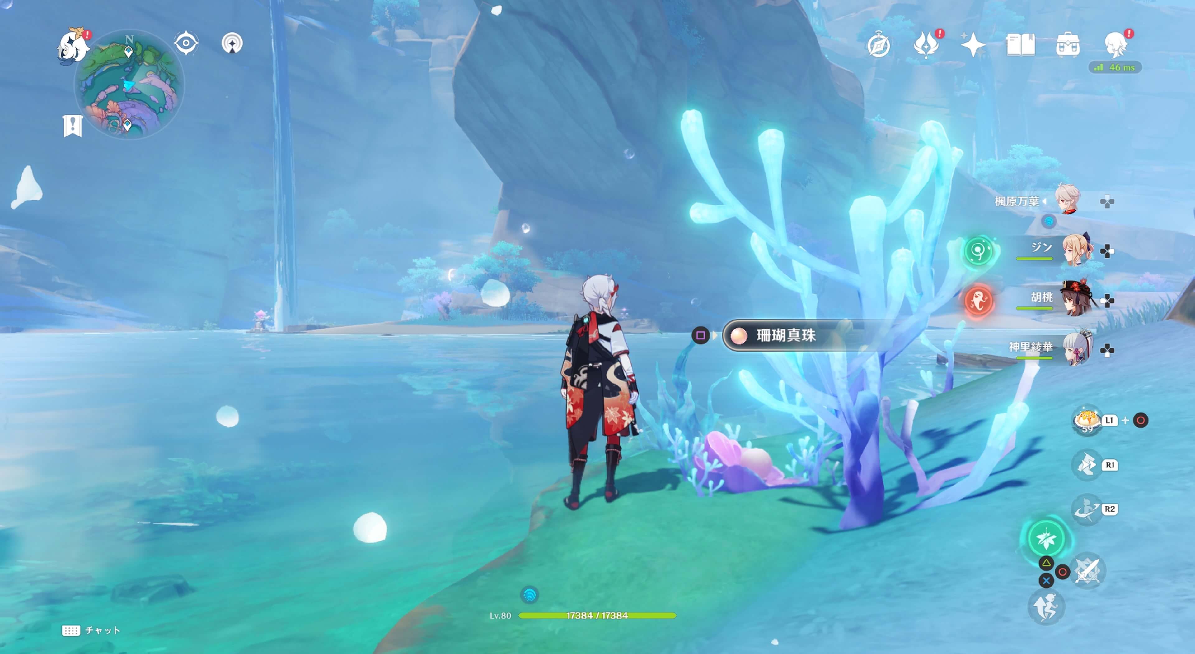 珊瑚真珠詳細20